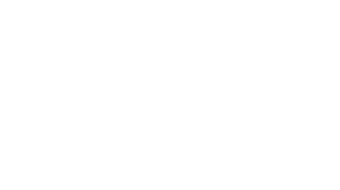 Vulcon Asset